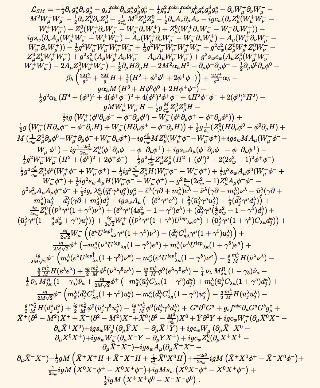 Standard Model Lagrange